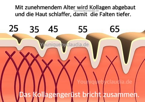 Younique_Daily_You_Kollagen_Hautschichten_Kollagengerüst.jpg